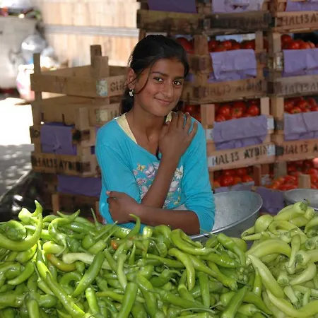 St John's House Willa