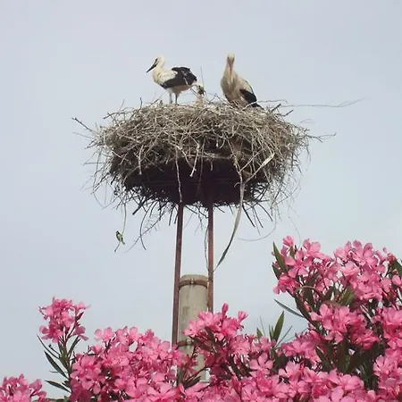 St John's House * Сельчук