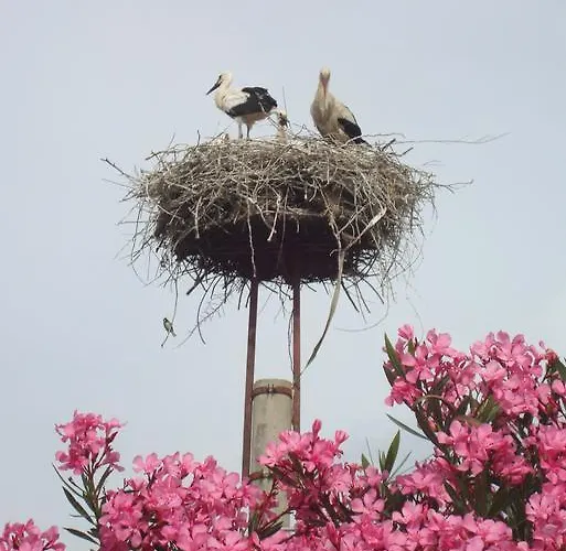 St John's House * Selçuk